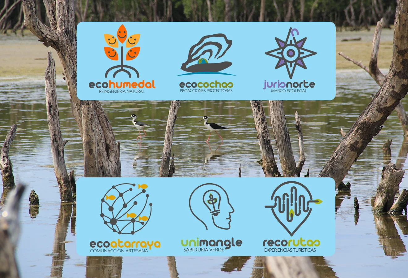 Ecobrion Strategic Programs