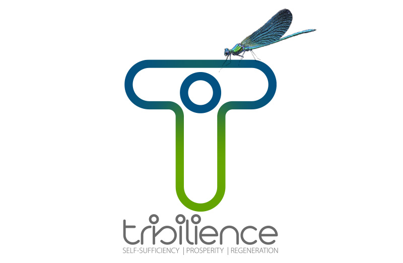 trisilience-logo.webp